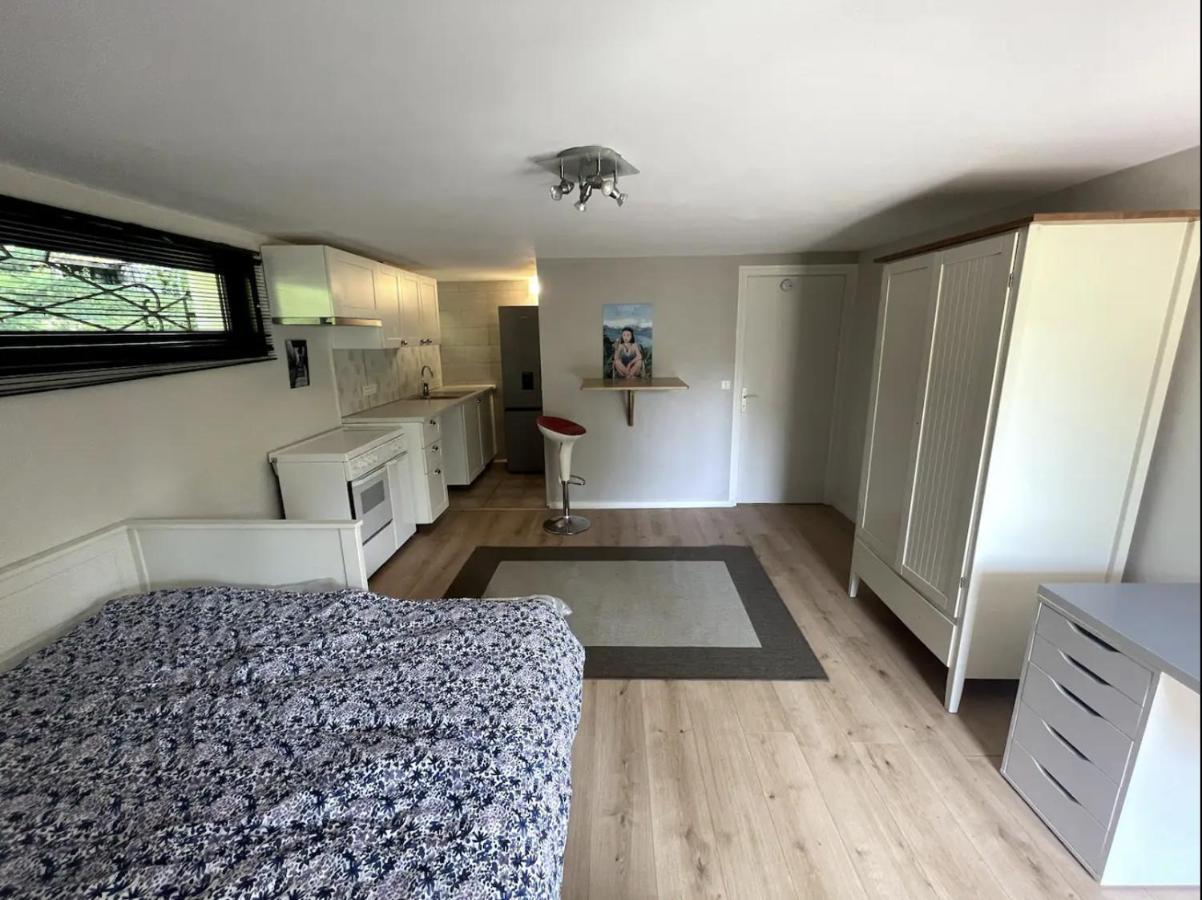 Quiet Studio In A House In Sevrier Annecy Lake Very Close To The Lake מראה חיצוני תמונה