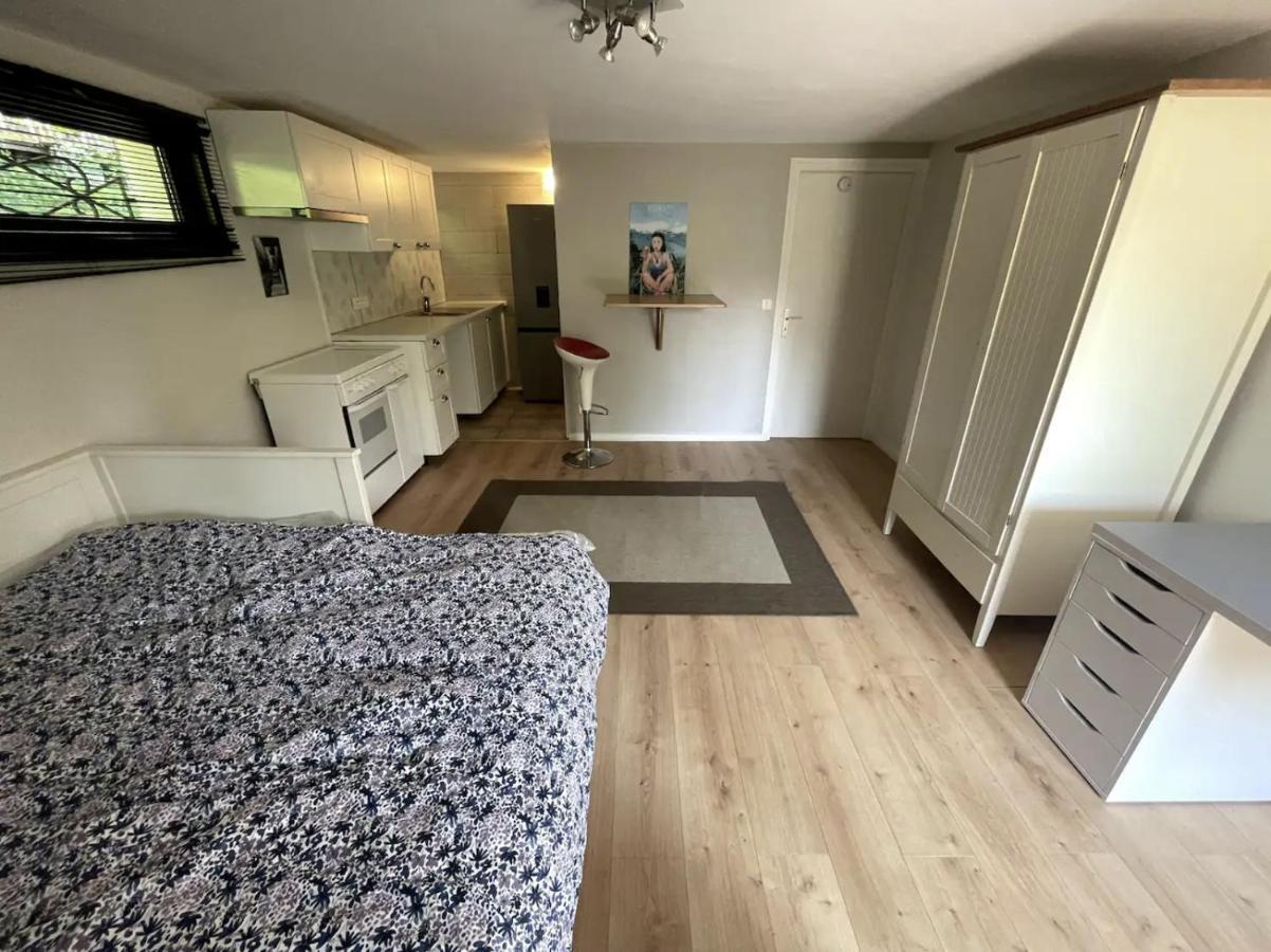 Quiet Studio In A House In Sevrier Annecy Lake Very Close To The Lake מראה חיצוני תמונה